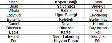 Taktikler İle İngilizce - Görsel 5